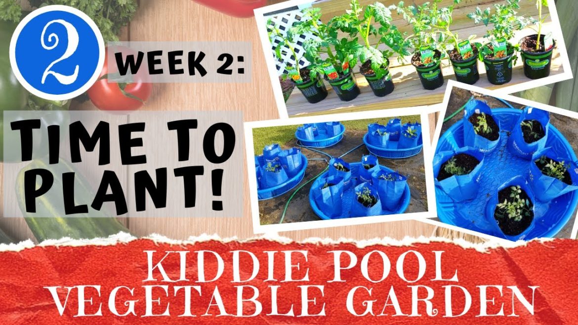 KIDDIE POOL VEGETABLE GARDEN - Week 2: Planting Tomatoes & Peppers | Container Gardening | DIY