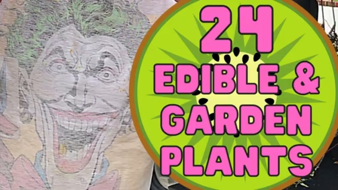 Urban Gardening Ideas – 24 Edible Plants and Garden Plants Review – zone 7 fruit trees Urban Gardening Ideas - 24 Edible Plants and Garden Plants Review - zone 7 fruit trees