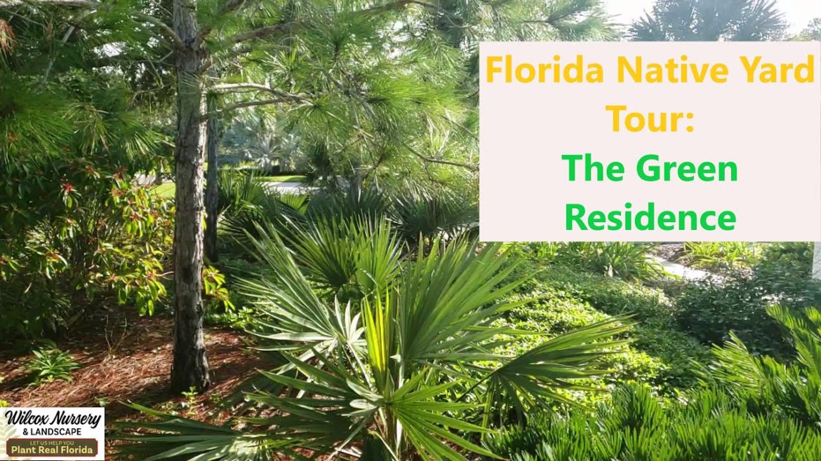 Florida Native Landscape Tour: Draught Tolerant, Low Maintenance Plants in a Coastal Yard!