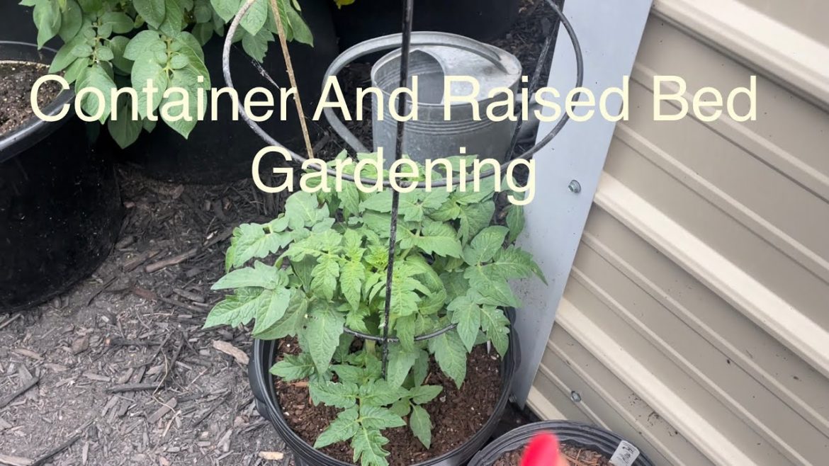 Container Gardening 26 Pepper Pots, 30 Gallon Grow Bags, Raised Bed, Plus In ground Gardening 2022