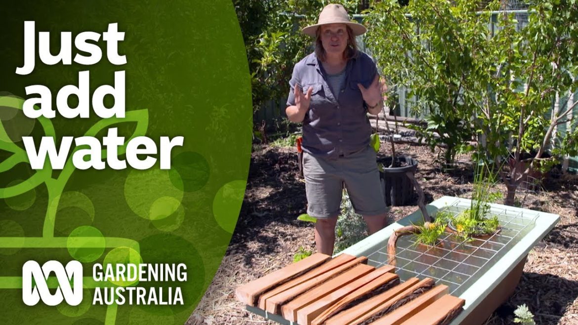 Put in a pond and diversify your garden | DIY garden projects | Gardening Australia Put in a pond and diversify your garden | DIY garden projects | Gardening Australia