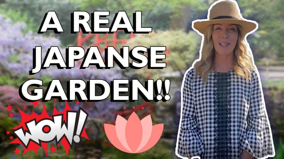 The Shinzen Japanese Garden Fresno CA | TOUR The Shinzen Japanese Garden Fresno CA | TOUR