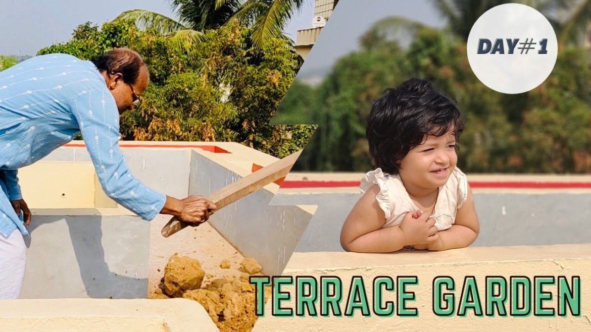 Terrace Garden Setup | Roof Garden Design | Rooftop Garden DIY Ideas | Tinak Dhin Vlogs