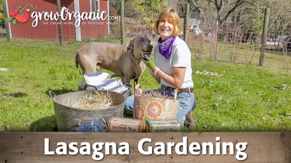 What is the Lasagna Gardening Method? What is the Lasagna Gardening Method?