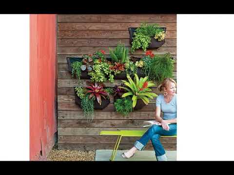 Small walled garden design Small walled garden design