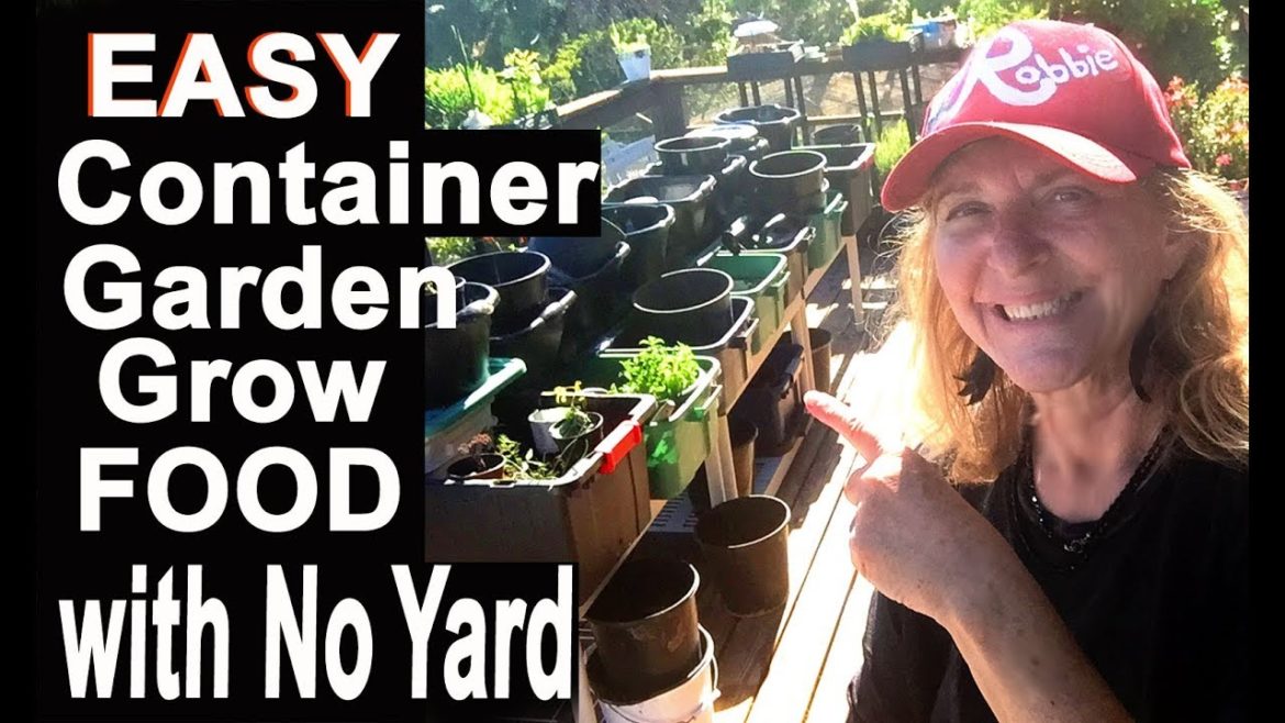 Container Gardening Grow Vegetable Garden on Patio & Compost in Place Everything Container Gardening Grow Vegetable Garden on Patio & Compost in Place Everything