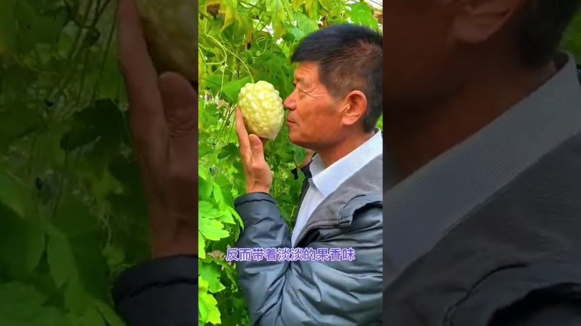 DIY garden vlog with me