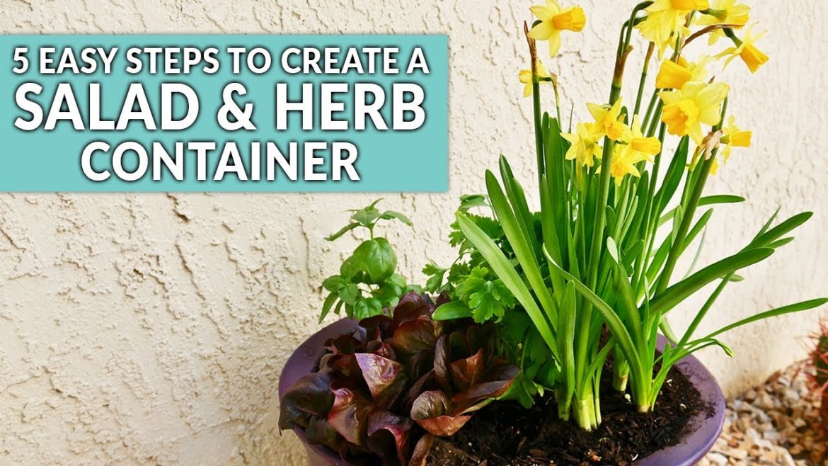 An Easy DIY Salad & Herb Container Garden For Spring / Joy Us Garden An Easy DIY Salad & Herb Container Garden For Spring / Joy Us Garden