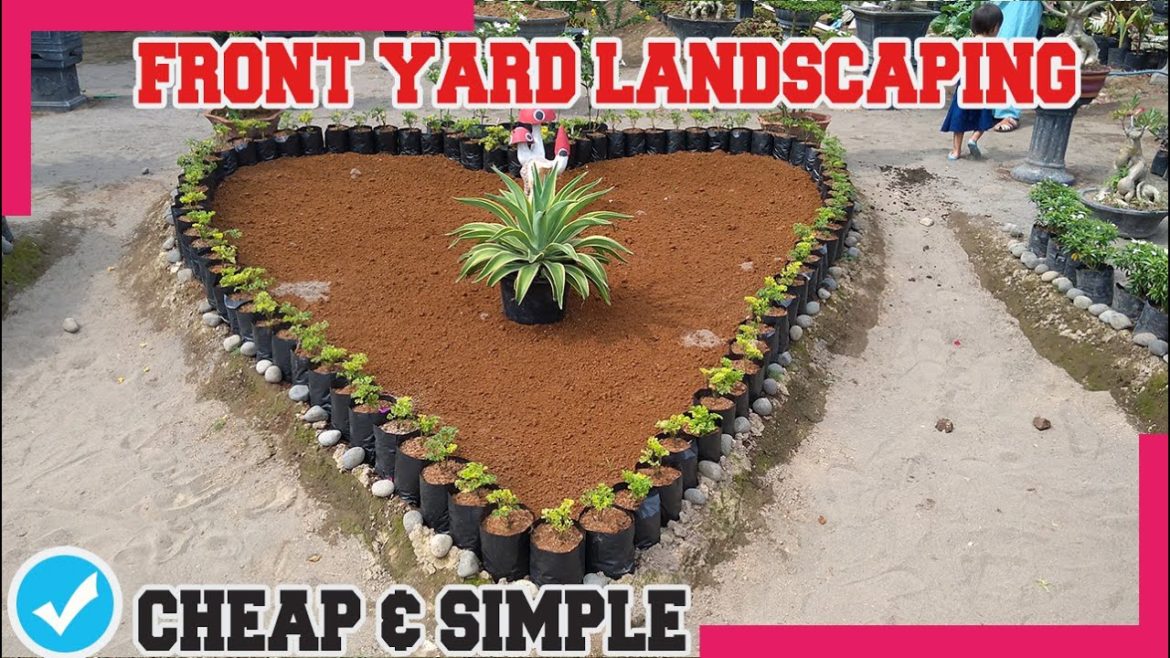 CHEAP & SIMPLE! Small Front Yard Landscaping Ideas