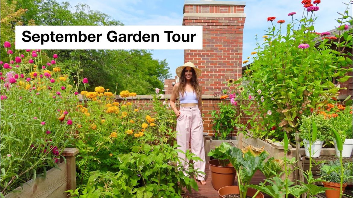 September Container Garden Tour | Rooftop Balcony Garden