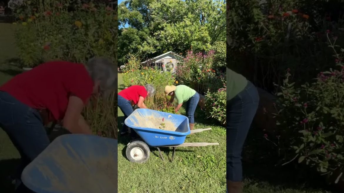 Cool Flowers demo bed is planted.
