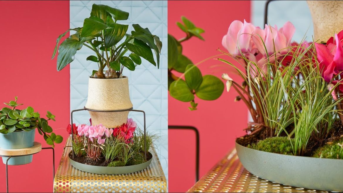 summer trend 2018 plant arrangement how to make summer trend 2018 plant arrangement how to make