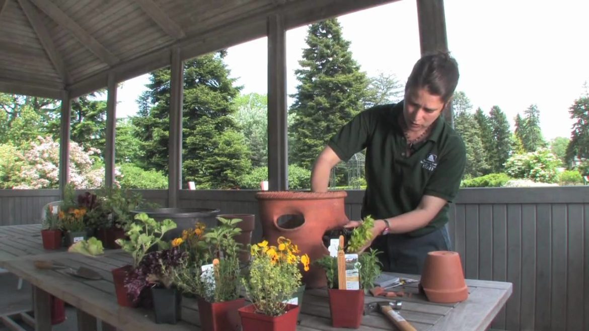 The Edible Garden — Planting a Strawberry Pot The Edible Garden — Planting a Strawberry Pot