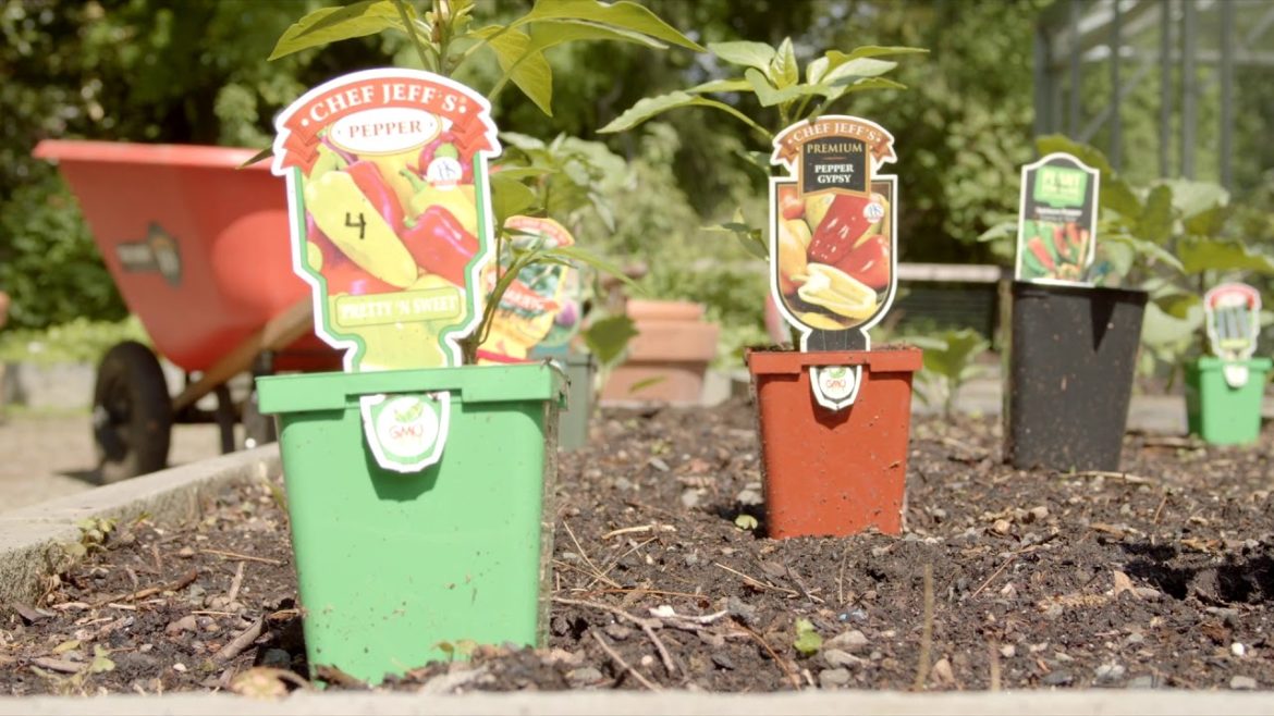 Van Vleck Edible Garden   10 28