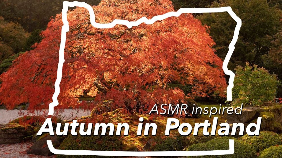 The Portland Japanese Garden in Autumn