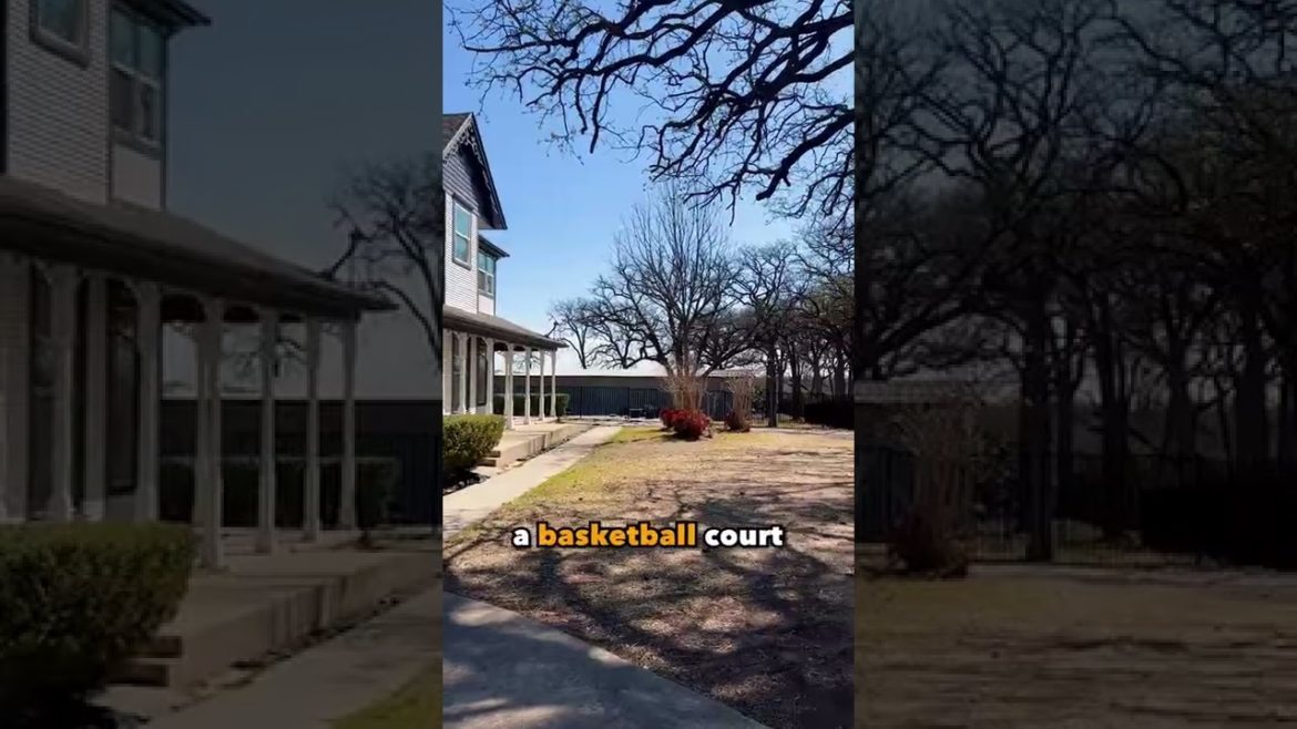 Backyard Landscaping Ideas!