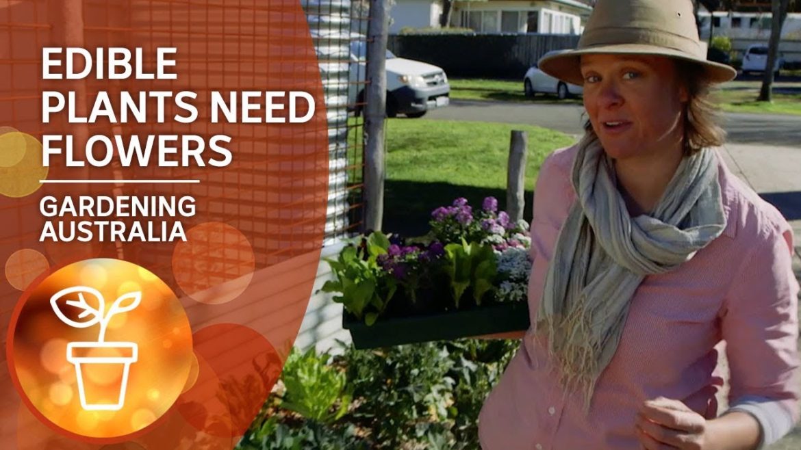 Edible Plants Need Flowers Edible Plants Need Flowers