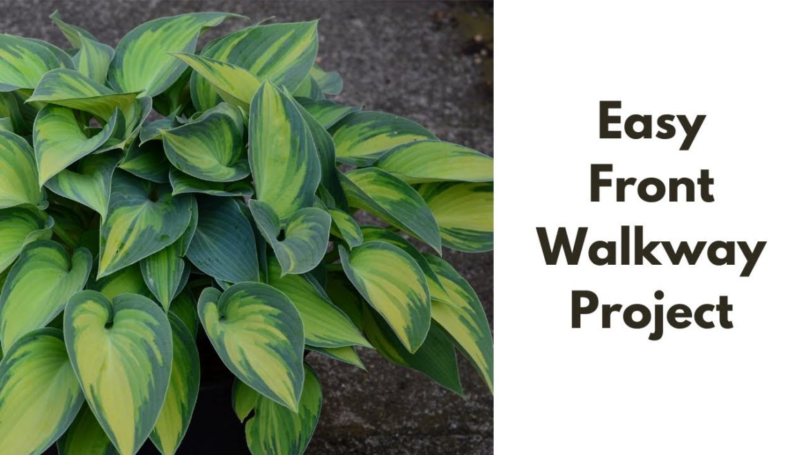 Episode 27: Easy front yard landscaping project Episode 1