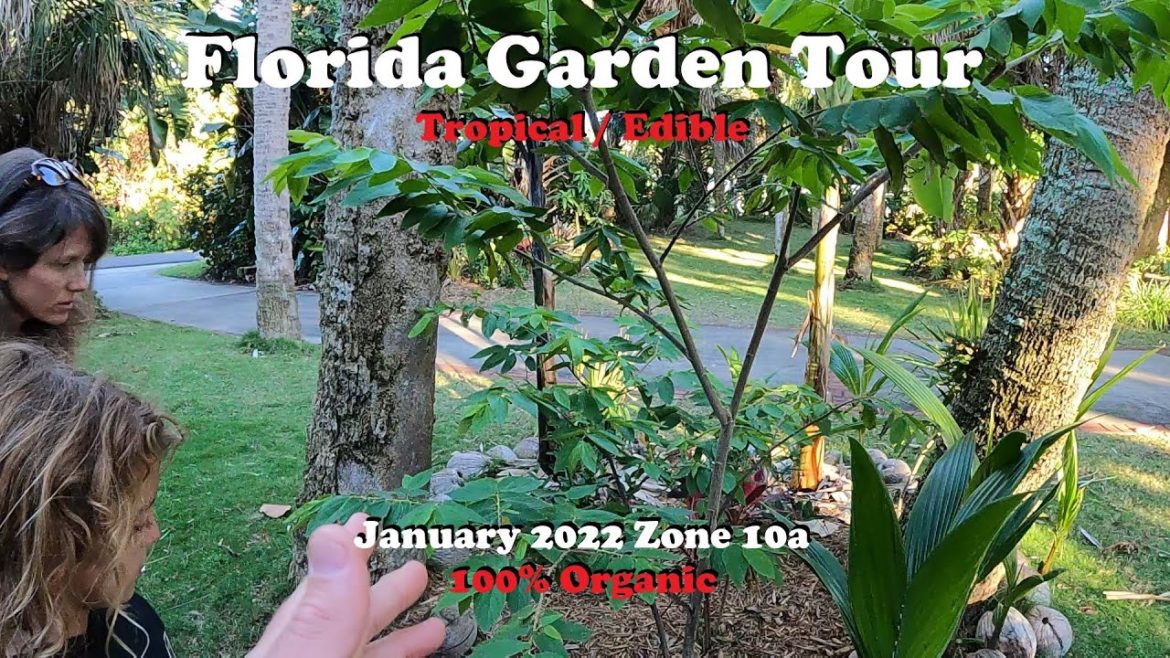 Florida Organic Tropical / Edible Garden Tour | Post January Winter Storm Florida Organic Tropical / Edible Garden Tour | Post January Winter Storm