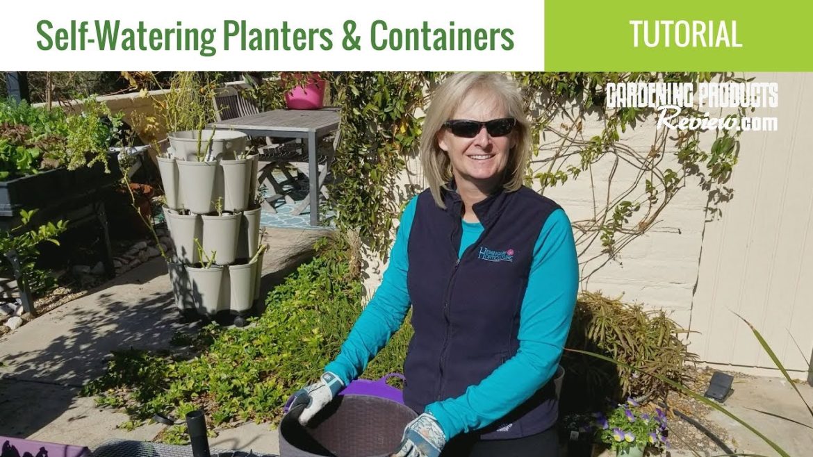 Self-Watering Planters: How They Work, Best Types & an Easy DIY Option