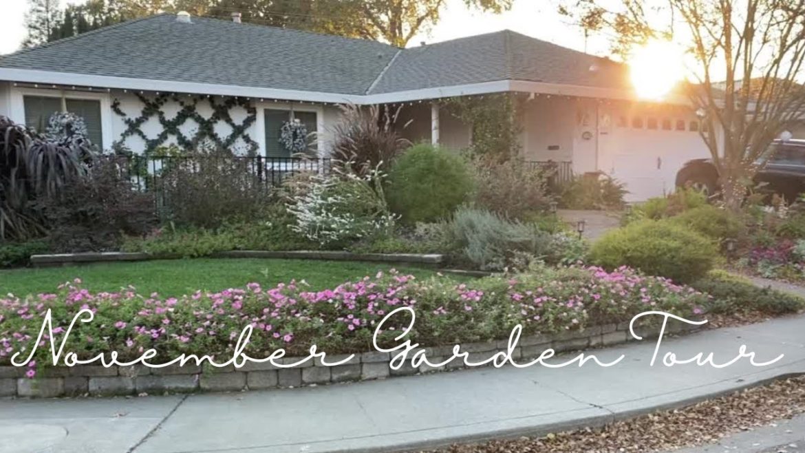 November Small Yard Garden Tour – Front Yard November Small Yard Garden Tour - Front Yard