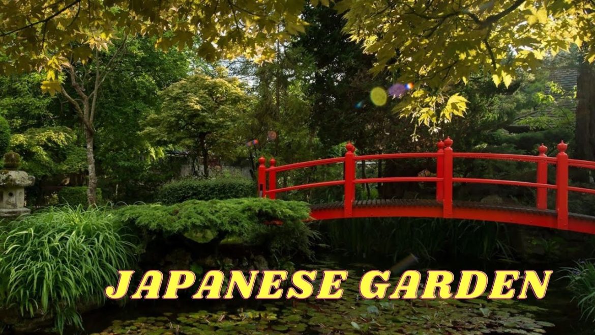 JAPANESE GARDEN IN KILDARE |QUICK TOUR|