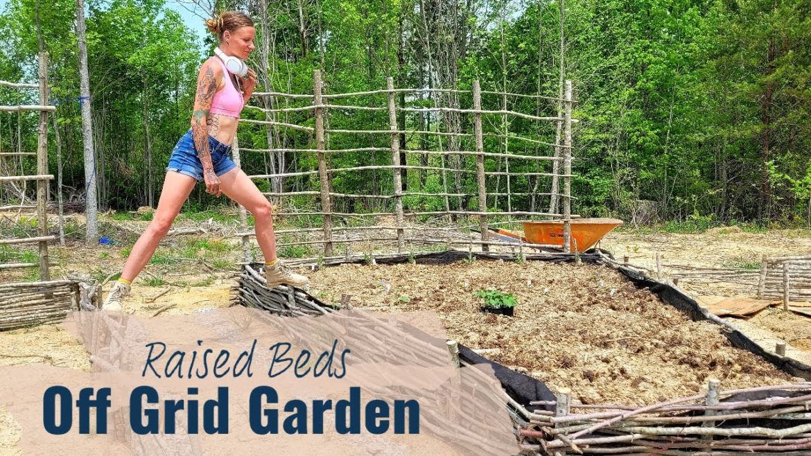 Epic Off Grid Garden Design | Our Homestead Tree Identification