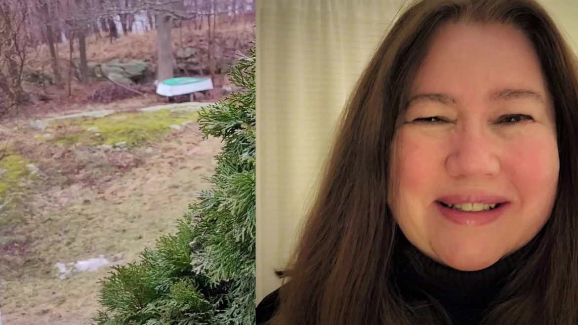 Garden Progress in the East Garden - Plans Ahead || House & Gardens