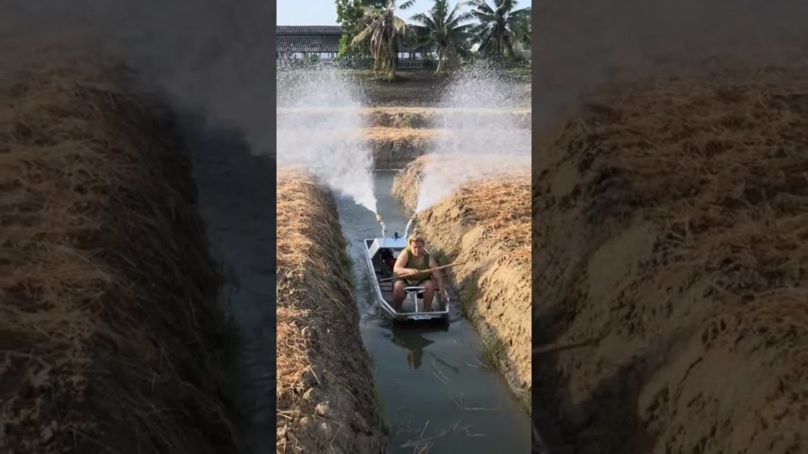 Garden Preparation #shorts #garden #gardening #trending #wow #like