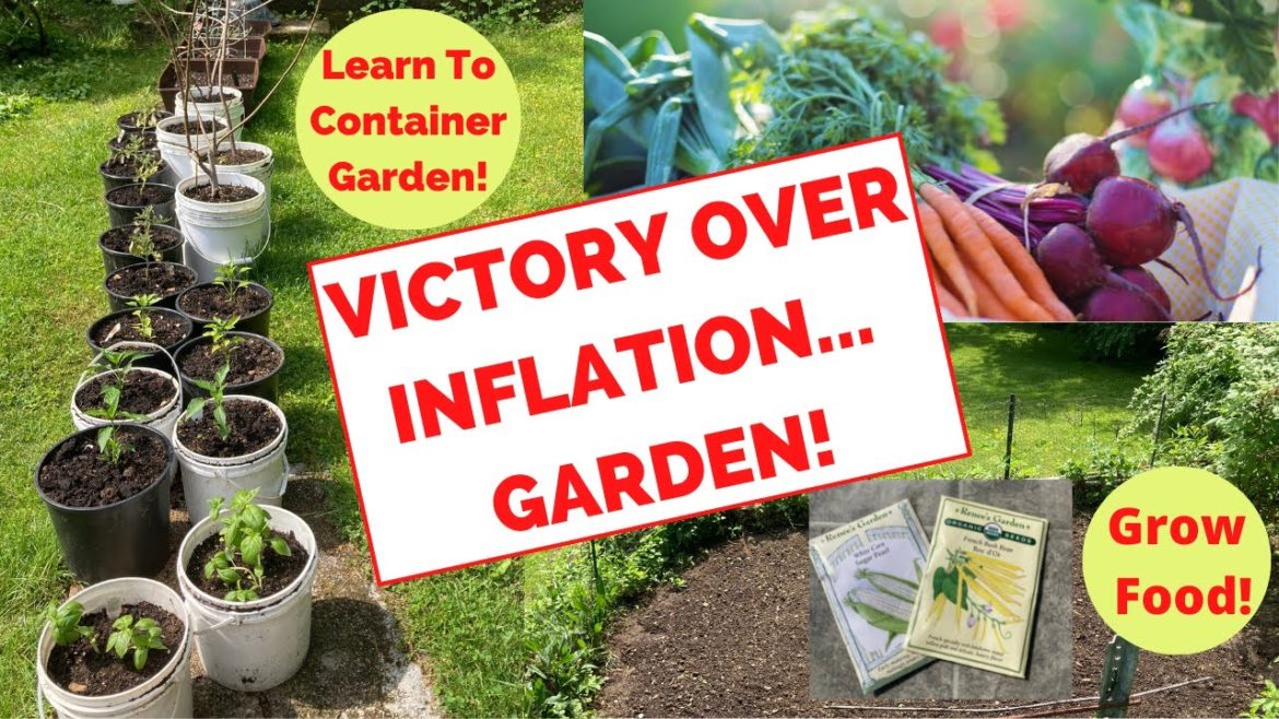 Grow Your Own Food! Container Garden-How To! Frugal Living! One Pot Veggie & Chicken Meal!