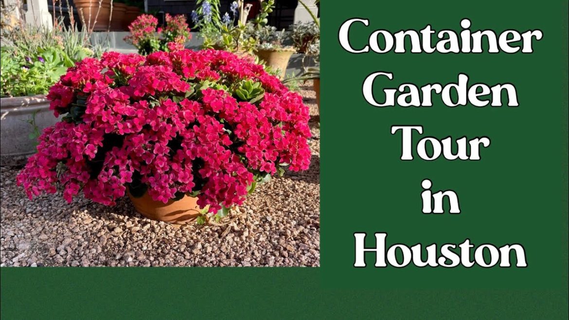 June 9, 2022 Container Garden Tour, Houston TX
