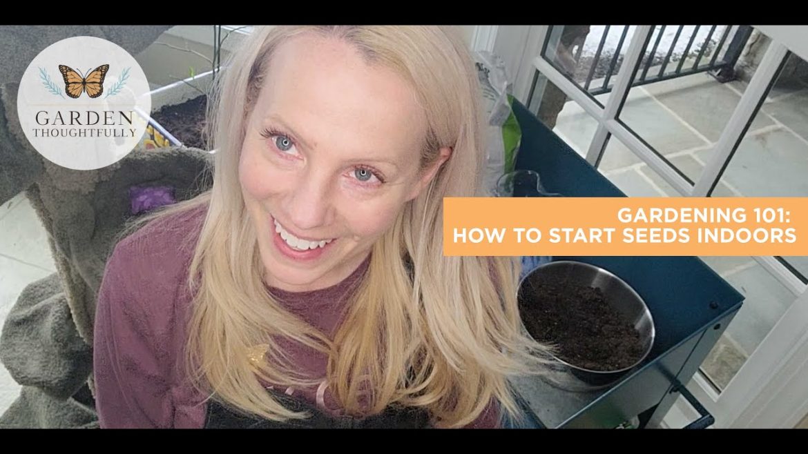 Gardening 101: How To Start Your Seeds Indoors Gardening 101: How To Start Your Seeds Indoors