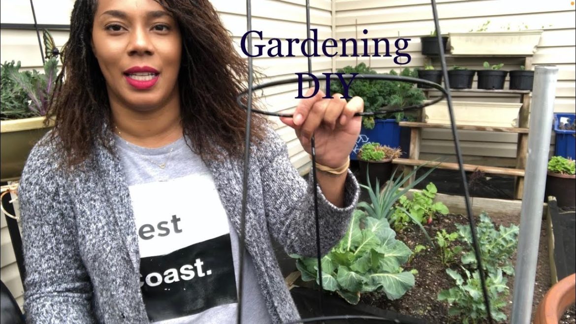 DIY How To Use Gardening Supplies To Get More Usage Out Of Tomato Cages Tomato Cage Planters DIY How To Use Gardening Supplies To Get More Usage Out Of Tomato Cages Tomato Cage Planters