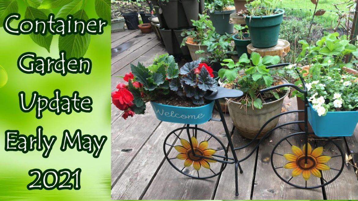 Front Deck Container Garden Update Early May 2021