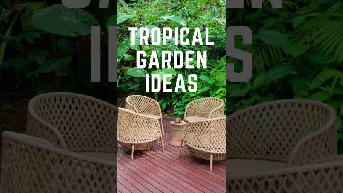 Tropical Backyard Design Ideas & Garden Decoration #YoutubeShorts #Shorts Landscape Design Makeover Tropical Backyard Design Ideas & Garden Decoration #YoutubeShorts #Shorts Landscape Design Makeover