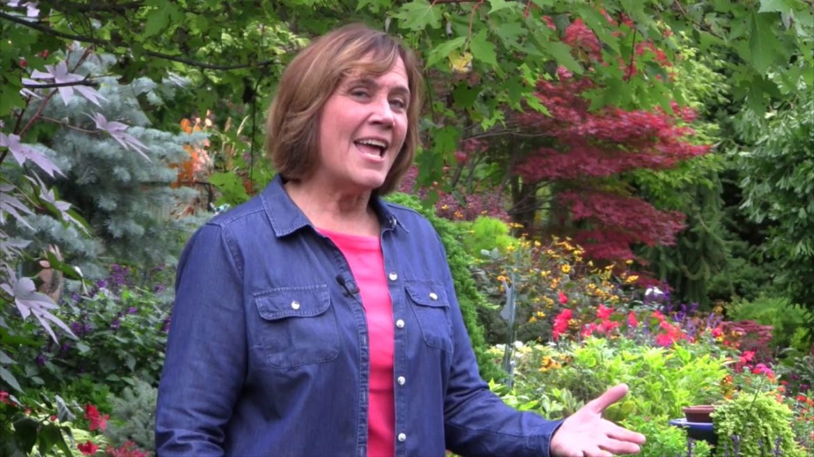 Low Maintenance Perennial Garden