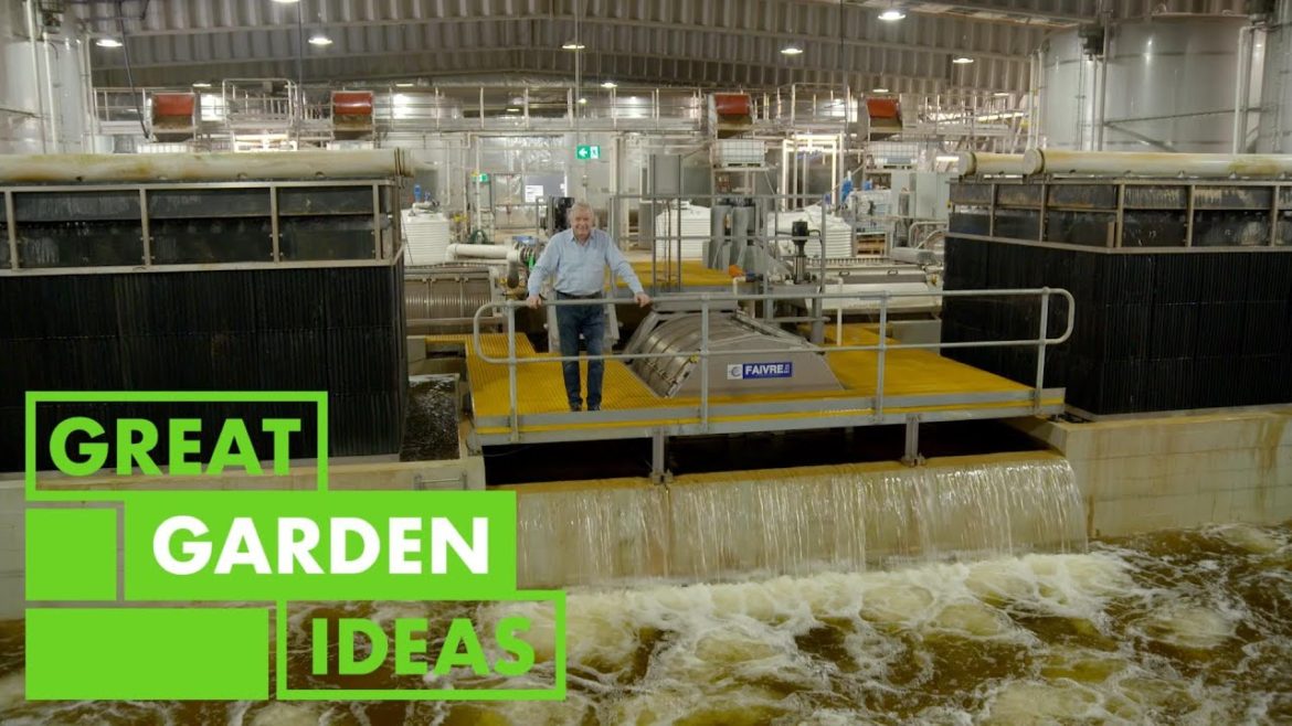 Farming For the Future | GARDEN | Great Home Ideas