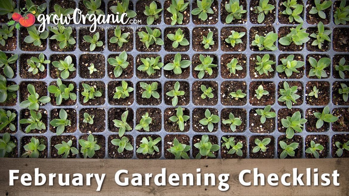 February Gardening Checklist – 10 Tips To Help Get Your Organic Garden Ready For Spring February Gardening Checklist - 10 Tips To Help Get Your Organic Garden Ready For Spring