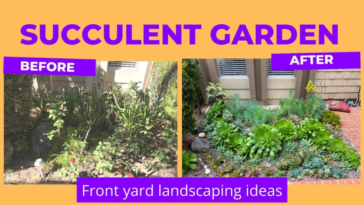 Succulent garden | Front yard landscaping ideas (Before and AFTER) |MOODY BLOOMS