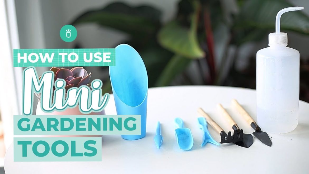 How To Use Mini Gardening Tools with Succulents Box How To Use Mini Gardening Tools with Succulents Box