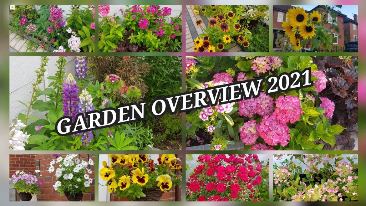 Relaxing Front yard garden overview/tour 2021~ Garden transformation through seasons 2021