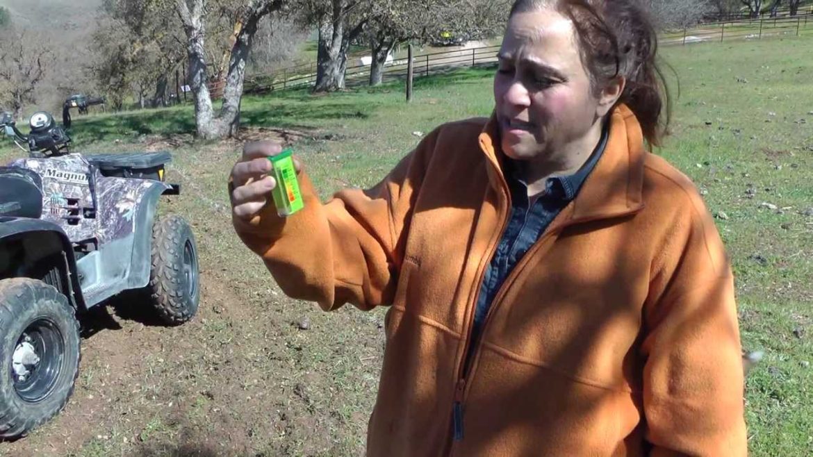 Garden Plans - Keeping Up With The Clampetts