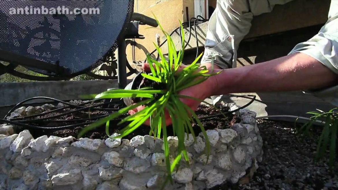 How to create a Japanese garden in under 3 minutes