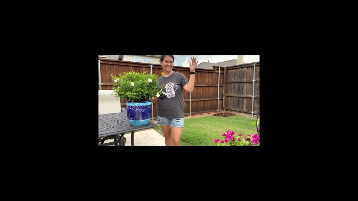 Out with the Old & in with the New! Container Gardening