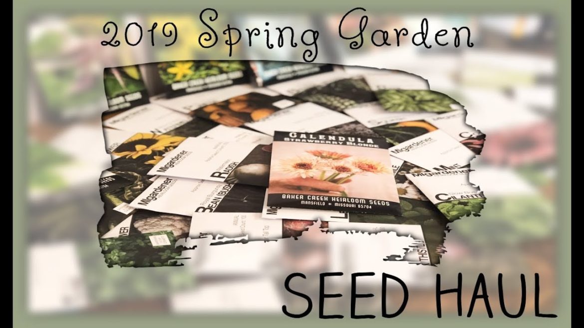 Our 2019 Homesteading Seed Haul // Spring Garden Plans