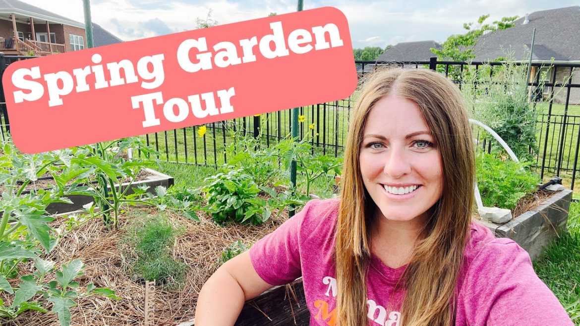 My Spring Garden Tour 2022 | Full Garden Tour | Spring Gardening Tips | From Dream to Seed