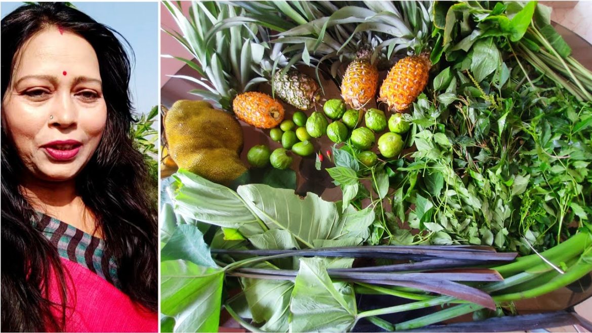 My Beautiful Backyard Garden Harvesting Organic Pineapple, Jackfruit & Vegetables |