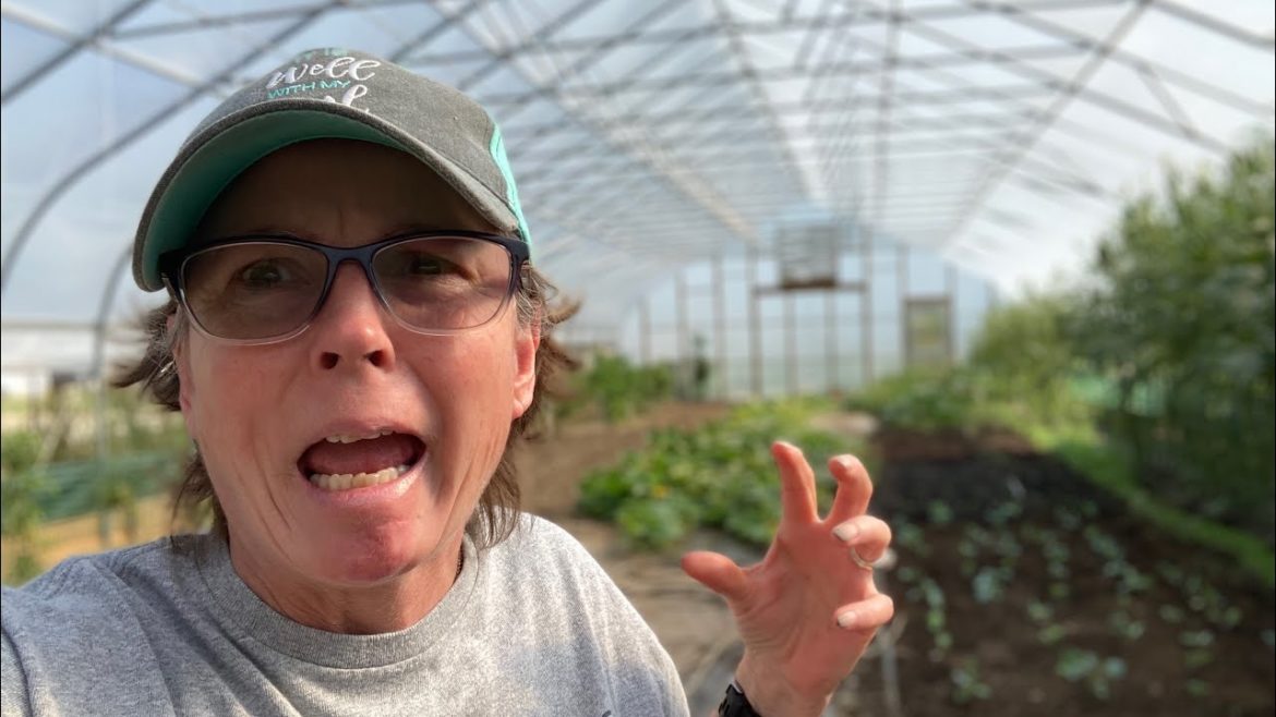 My thoughts on a Dark Winter and Armageddon… AGAIN…