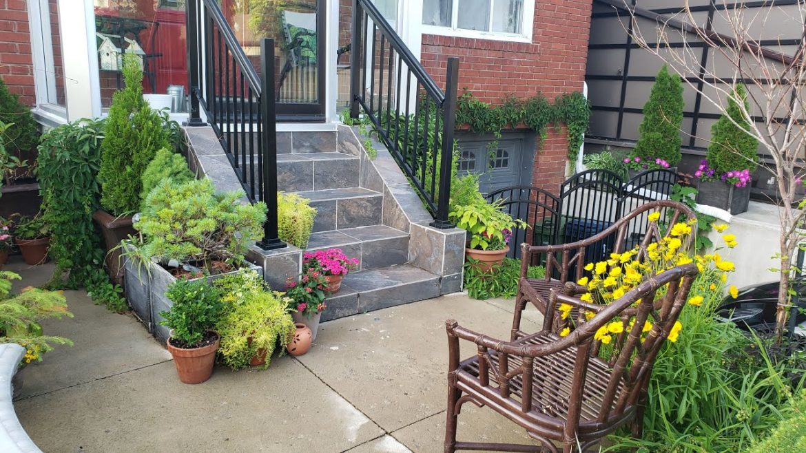 My Little Front Yard Garden | Summer to Fall Transition