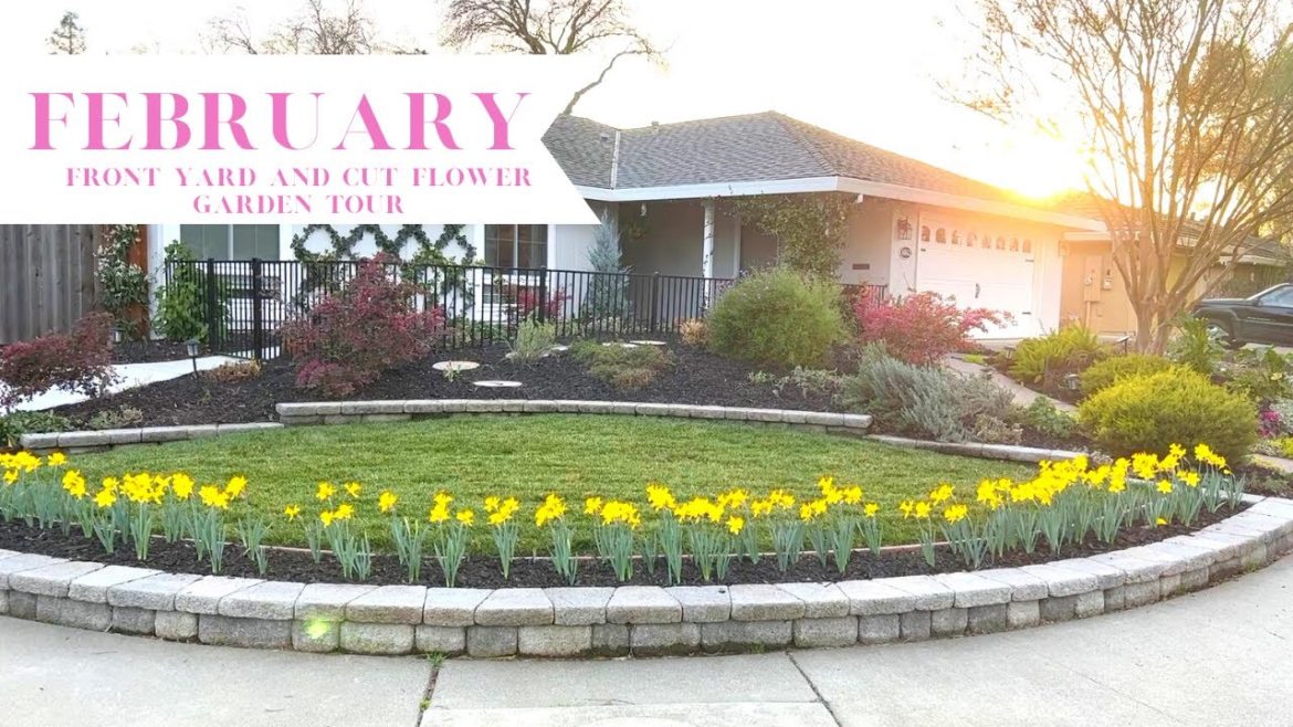 February Front Yard and Cut Flower Garden Tour! 🌷:: Gardening in Zone 9b :: Small Yard Garden Tour